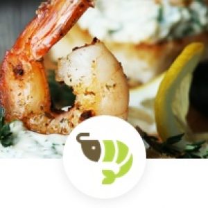 Cold seafood appetizers canapes menu header