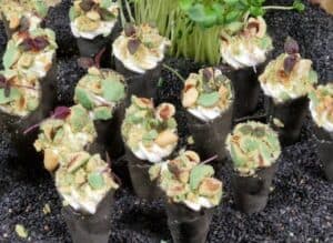 Verfijnde hapjes catering met mini ijshoorntje met ananas-roomkaas, mango-chutney en wasabikruimels